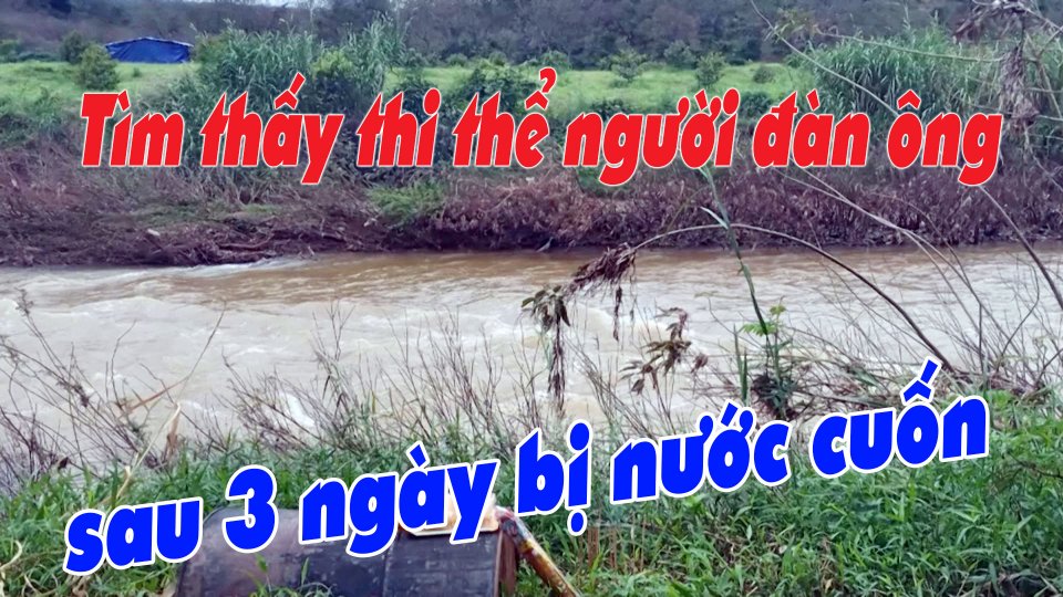 Bản tin 100 độ ngày 15-11-2021 	