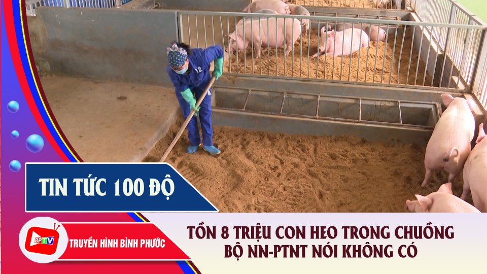 Bản tin 100 độ ngày 26-10-2021