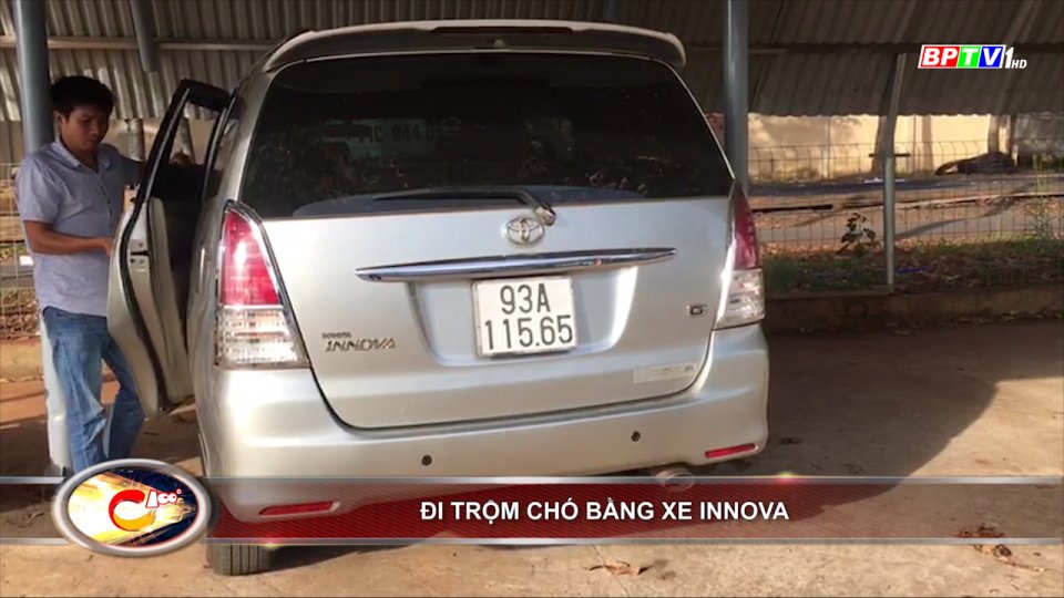Bản tin 100 độ ngày 27-11: Đi trộm chó bằng xe Innova
