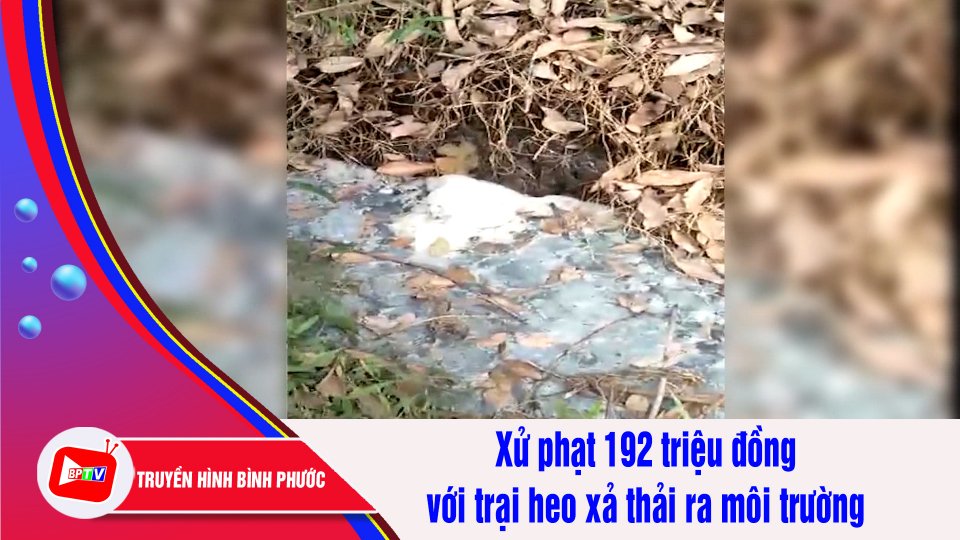 Bản tin 100 độ ngày 8-3-2022