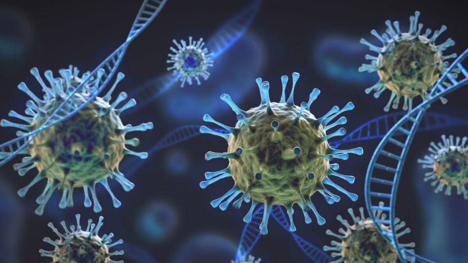 Bản tin Covid tối 09-12-2021