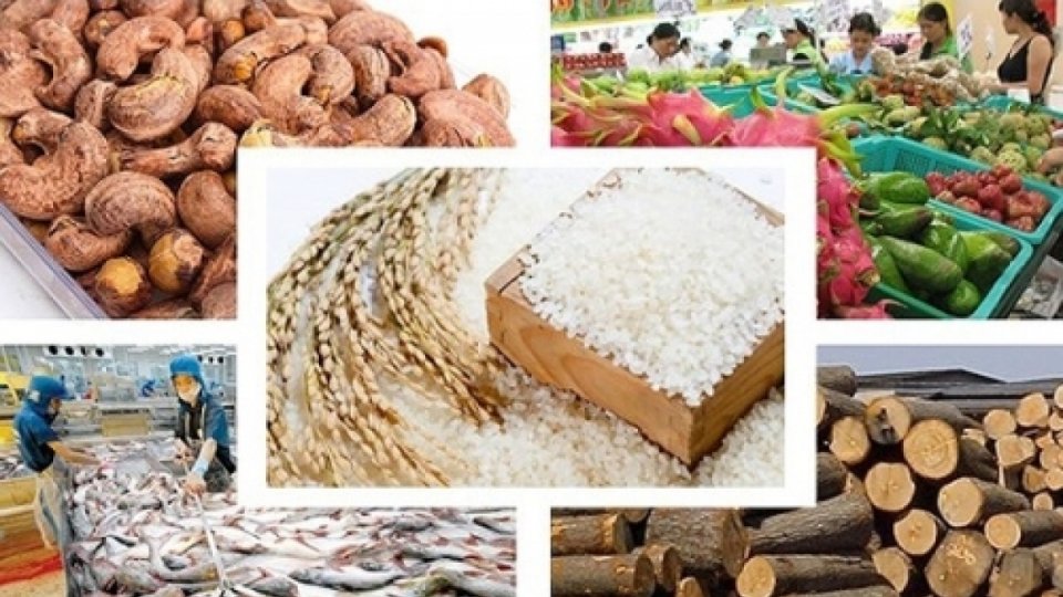 Bản tin Sắc màu kinh tế ngày 03-11-2021 