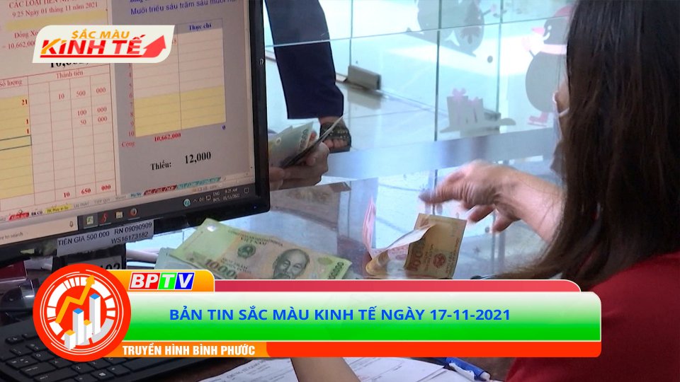 Bản tin Sắc màu kinh tế ngày 17-11-2021