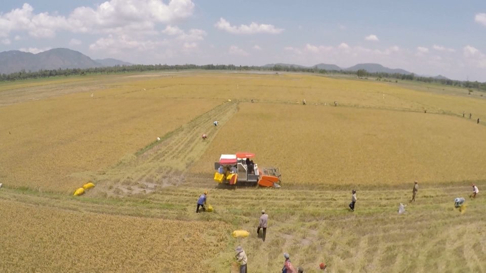 Bản tin Sắc màu kinh tế ngày 17-2-2022 	