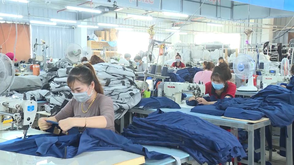 Bản tin Sắc màu kinh tế ngày 19-11-2021 