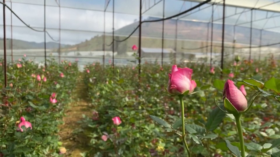 Bản tin Sắc màu kinh tế ngày 1-3-2022 	