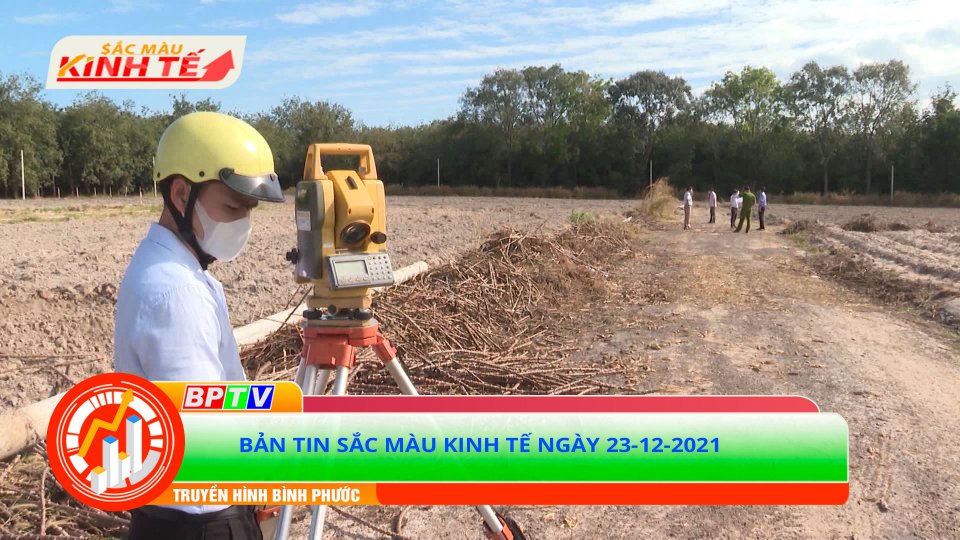 Bản tin Sắc màu kinh tế ngày 23-12-2021