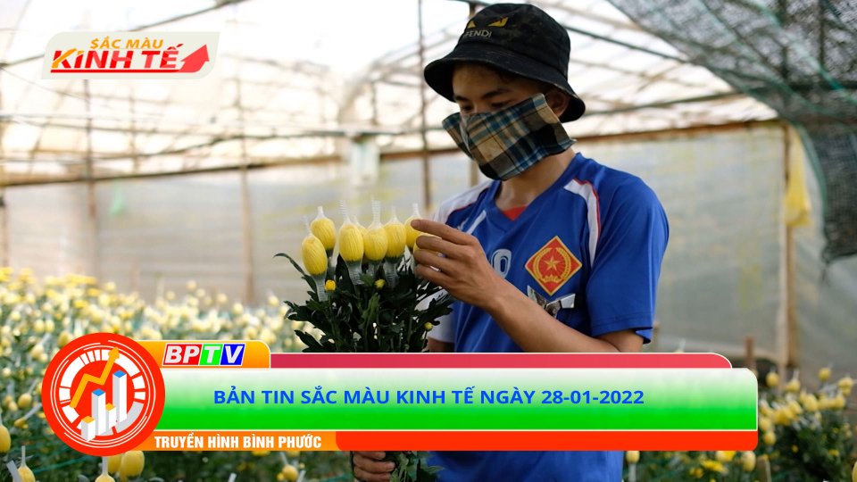Bản tin Sắc màu kinh tế ngày 28-1-2022