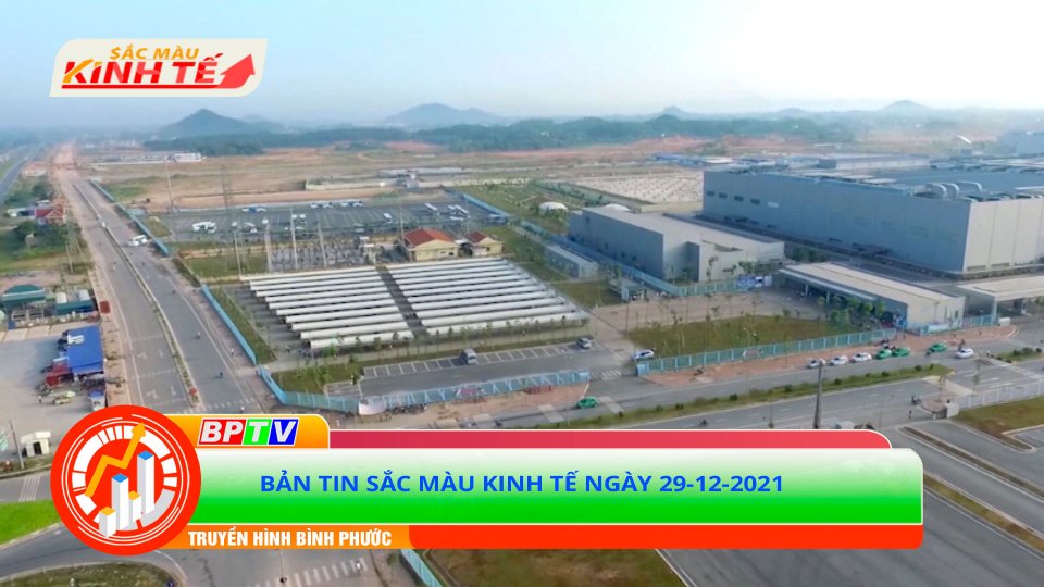 Bản tin Sắc màu kinh tế ngày 29-12-2021