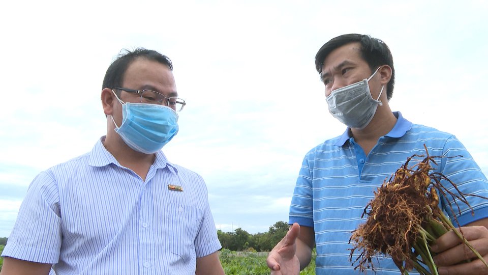 Bản tin Sắc màu kinh tế ngày 7-3-2022 