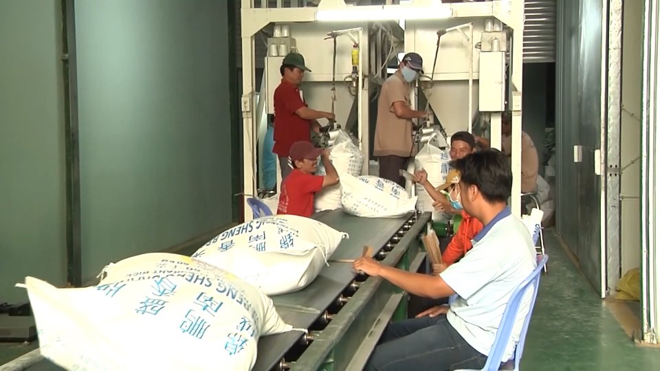 Bản tin Sắc màu kinh tế ngày 8-2-2022 