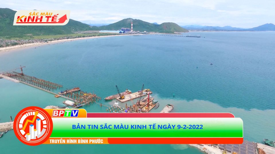 Bản tin Sắc màu kinh tế ngày 9-2-2022