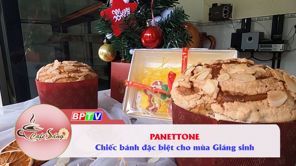 Bánh Panettone - Chiếc “nấm khổng lồ’ cho dịp Giáng Sinh