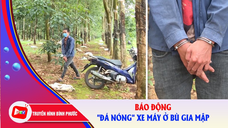  Báo động tình trạng “đá nóng” xe máy ở Bù Gia Mập ||BPTV