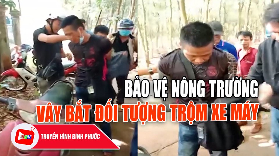 Bảo vệ nông trường vây bắt đối tượng trộm xe máy |BPTV