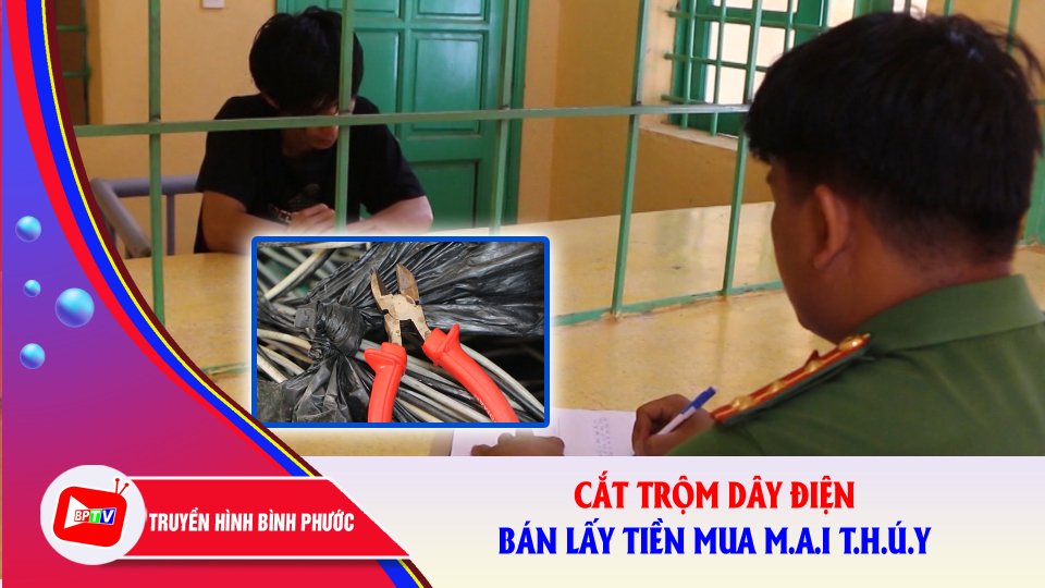 Bắt “đạo chích” cắt trộm dây điện lấy tiền mua m.ai thú.y sử dụng |BPTV