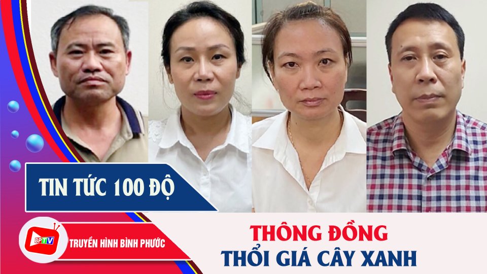 Bắt giam thêm 4 bị can “ăn” cây xanh ở Hà Nội |Tin tức 100 độ |BPTV