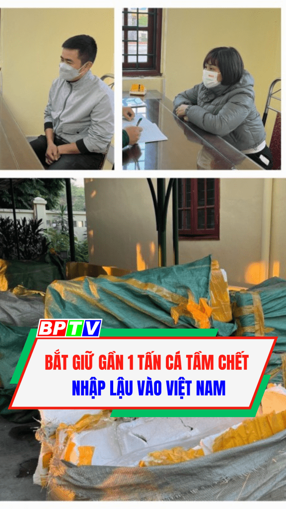 Bắt giữ gần 1 tấn c&aacute; tầm chết nhập lậu v&agrave;o Việt Nam #shorts