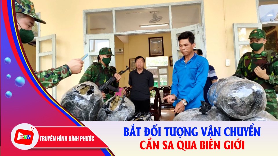 Bắt giữ vụ vận chuyển 57kg cần sa qua biên giới |BPTV