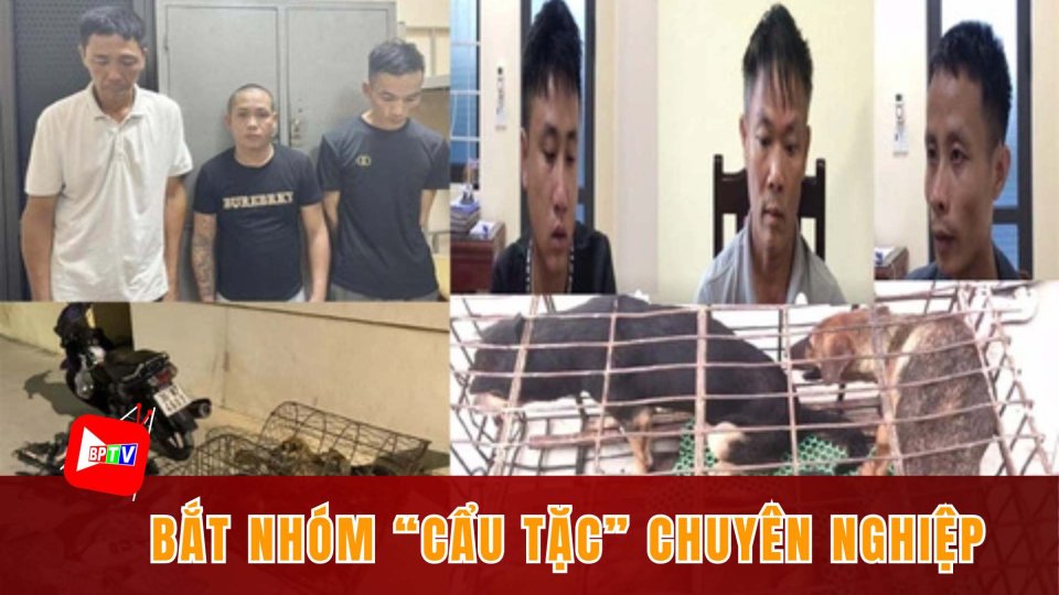 Bắt nhóm “cẩu tặc” chuyên nghiệp