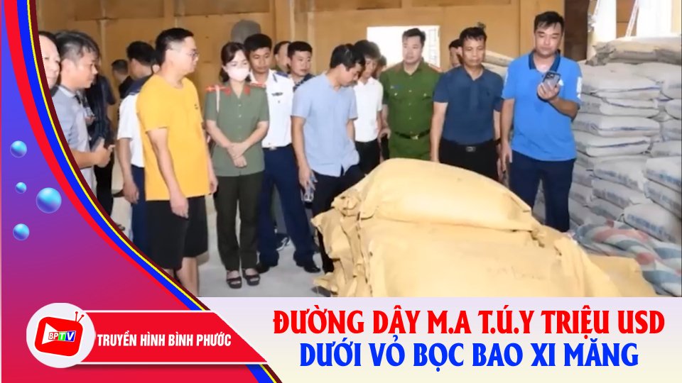 Bí ẩn đường dây m.a t.ú.y triệu USD dưới vỏ bọc bao xi măng