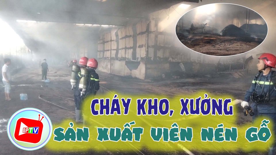 Bình Phước Cháy kho, xưởng sản xuất viên nén gỗ 