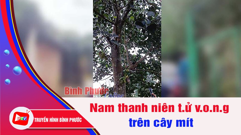 Bình Phước: Phát hiện nam thanh niên t.4 v.0.n.g trong tư thế lơ lửng trên cây mít | BPTV