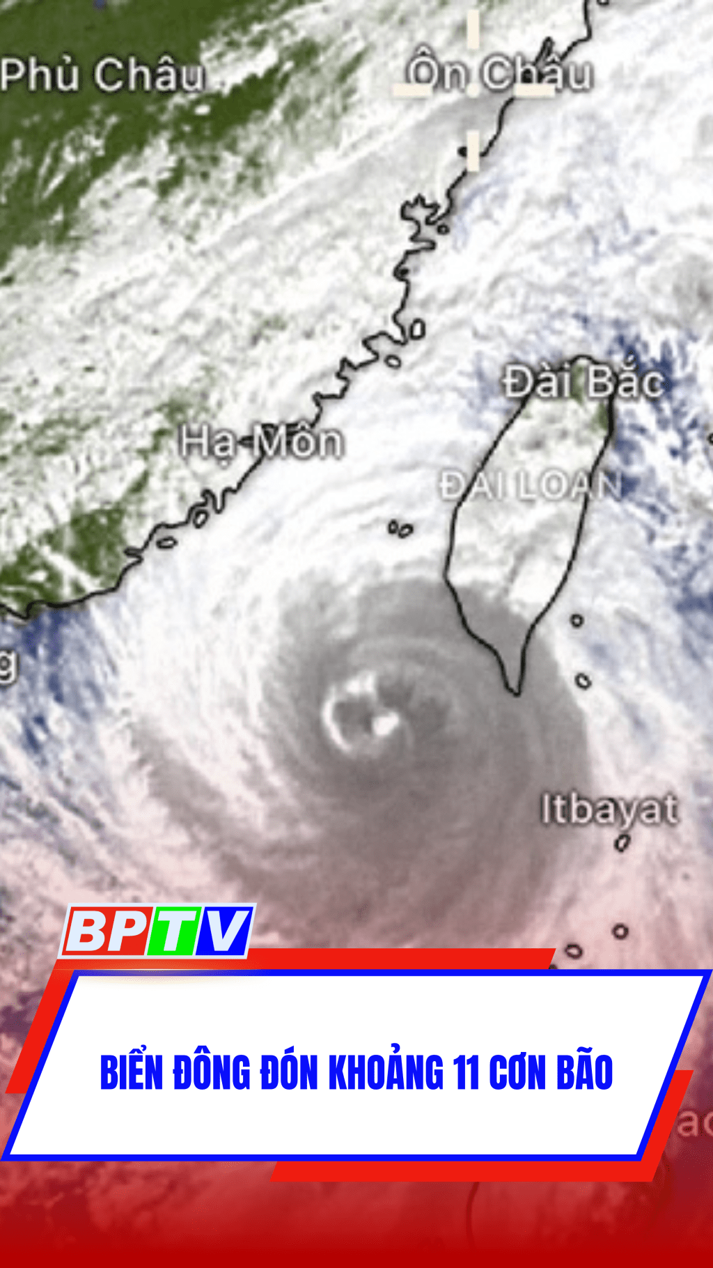 Biển Đông đón khoảng 11 cơn bão #shorts