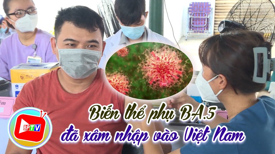 Biến thể phụ BA.5 của Omicron đã vào Việt Nam 