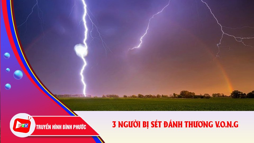 Bình Phước: 3 người bị sét đánh thương v.o.n.g khi thu gom cà phê dưới gốc cây lớn |BPTV
