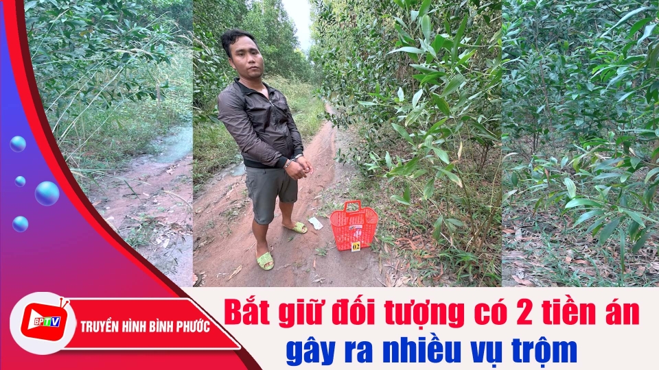 Bình Phước: Bắt giữ đối tượng có 2 tiền án liên tiếp gây ra nhiều vụ trộm |BPTV