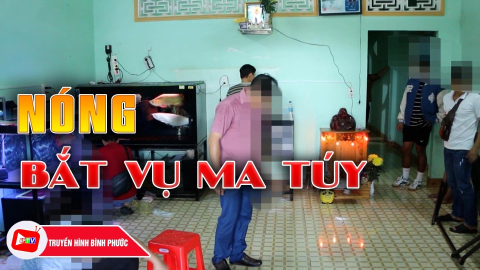 Bình Phước: Bắt đối tượng mua bán trái phép chất m.a túy |BPTV