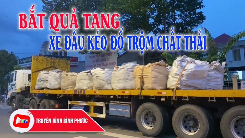 Bình Phước: Bắt quả tang xe đầu kéo đổ trộm chất thải ra lô cao su |BPTV