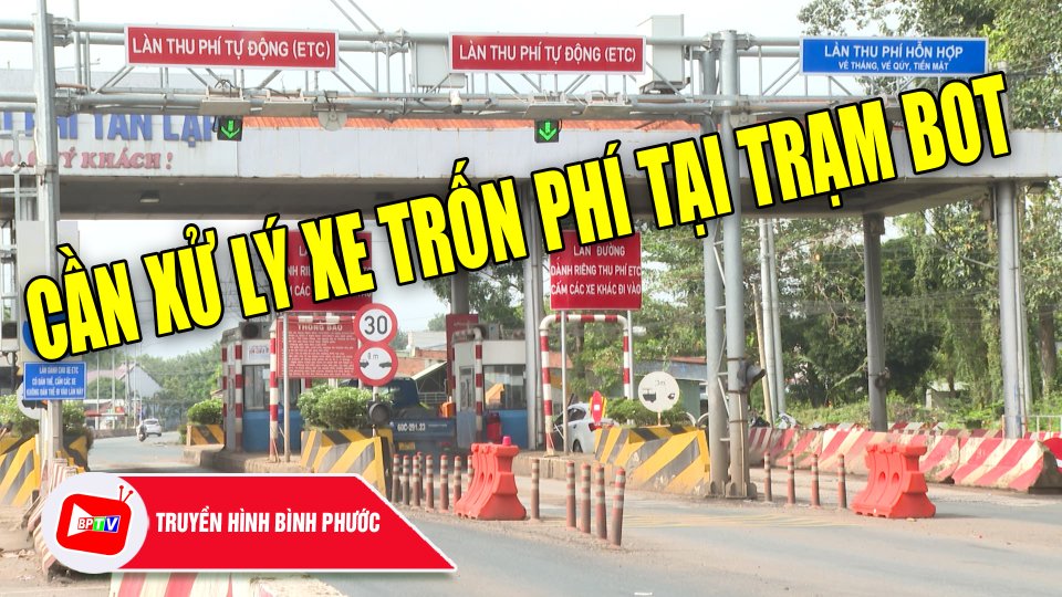 Bình Phước: Cần xử lý xe trốn phí tại trạm BOT |BPTV