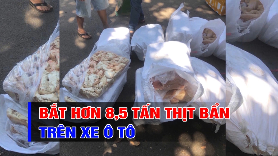 Bình Phước: Cảnh sát giao thông bắt xe ô tô chở hơn 8,5 tấn thịt bẩn | BPTV