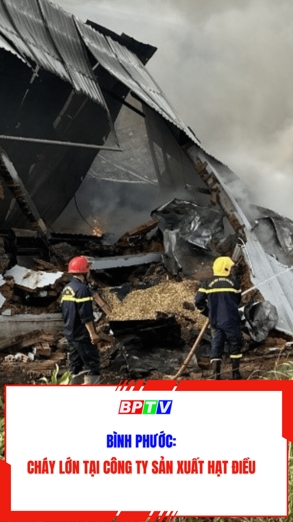 B&igrave;nh Phước: Ch&aacute;y lớn tại c&ocirc;ng ty sản xuất hạt điều  #shorts