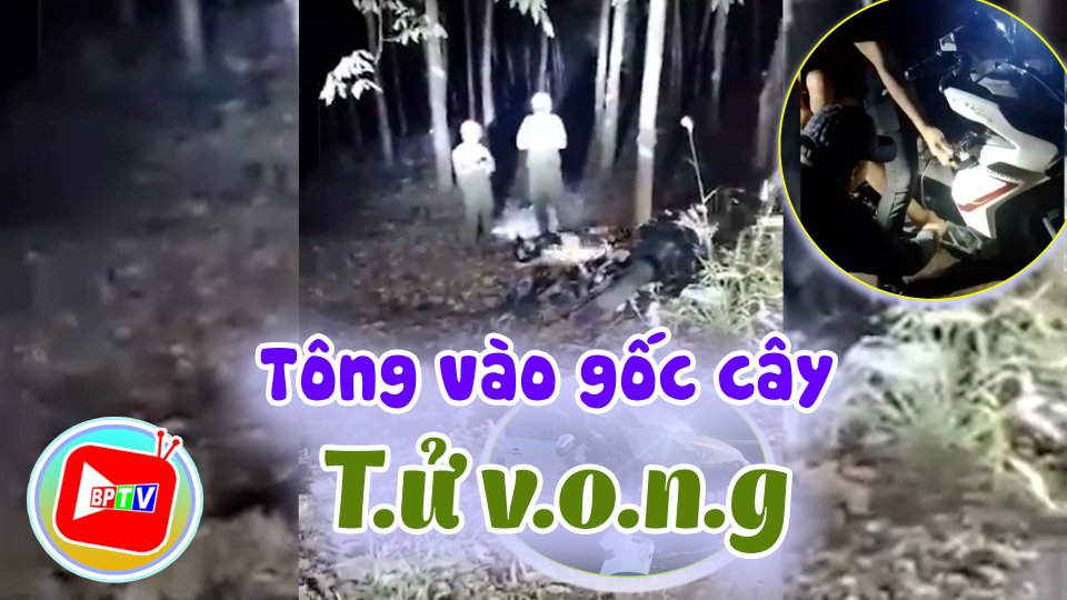 Bình Phước: Chạy xe máy tông vào cây cao su, nam thanh niên t.ử v.0.n.g 