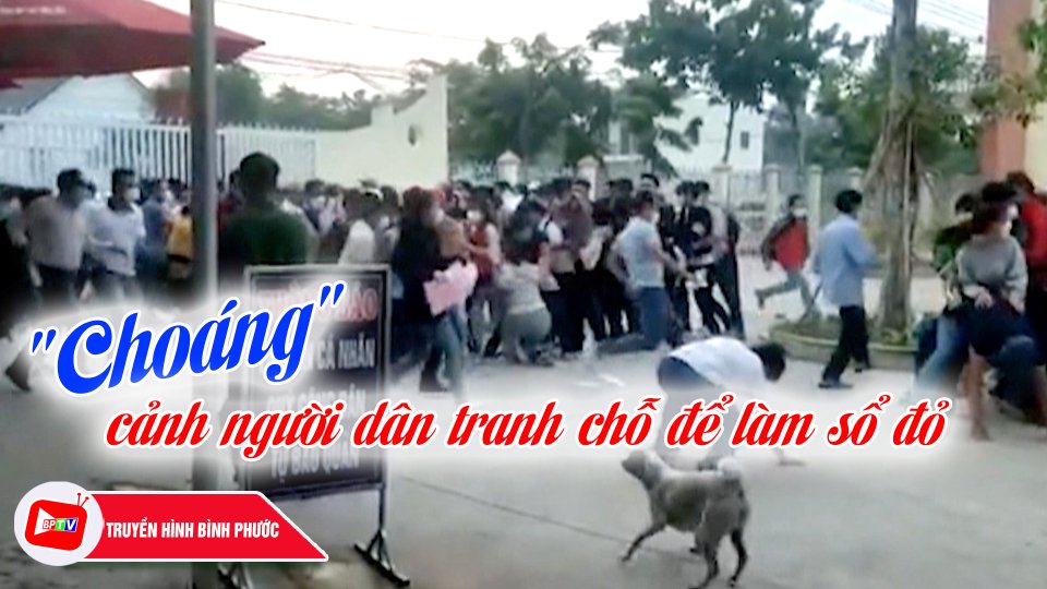 Bình Phước: “Choáng” cảnh hàng trăm người chen lấn, ngã lăn quay khi làm sổ đỏ |BPTV