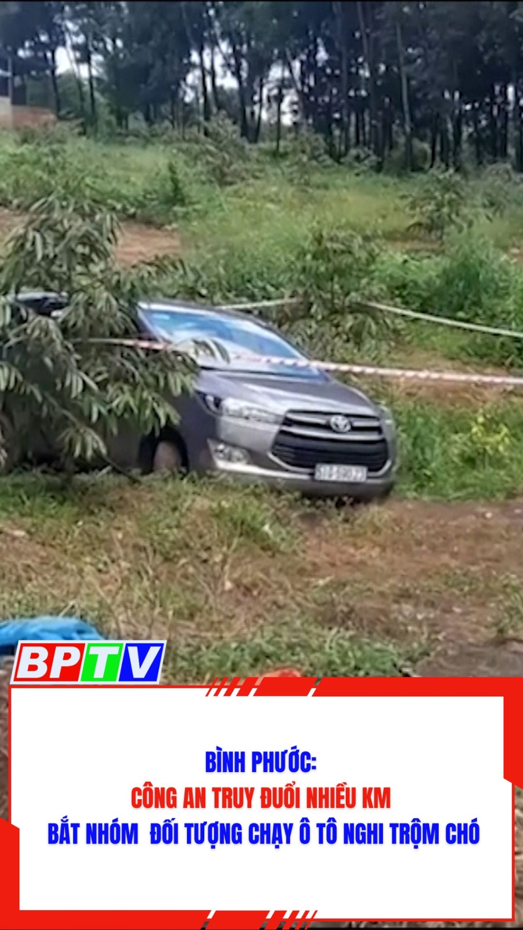 B&igrave;nh Phước: C&ocirc;ng an truy đuổi nhiều km bắt nh&oacute;m đối tượng chạy &ocirc; t&ocirc; nghi trộm ch&oacute; #shorts