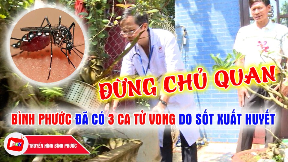 Bình Phước: Đã có 3 ca tử vong do sốt xuất huyết |BPTV