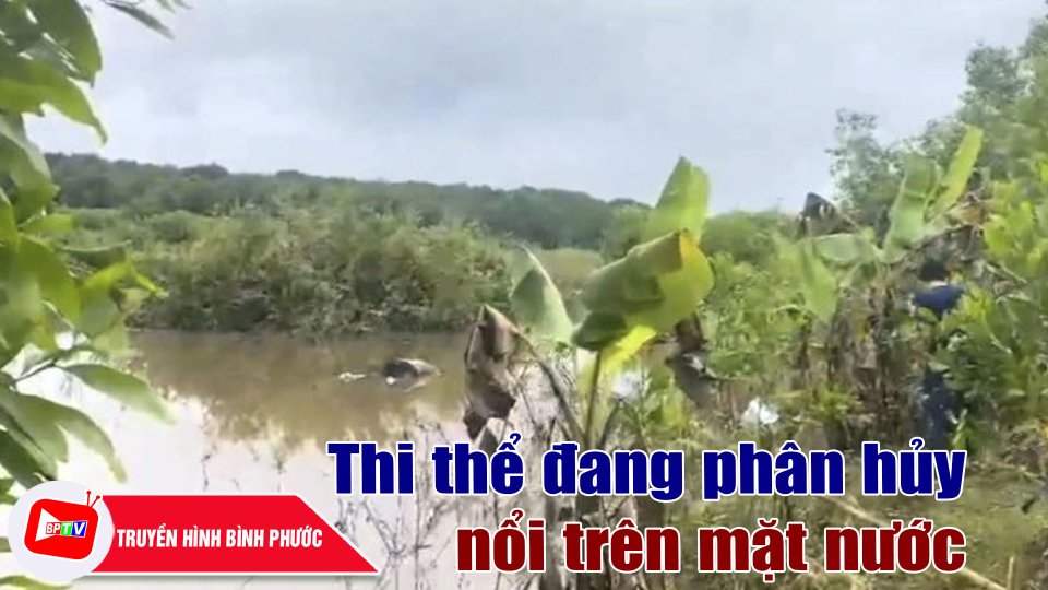 Bình Phước: Đi câu cá hoảng hồn phát hiện thi thể nổi trên mặt nước