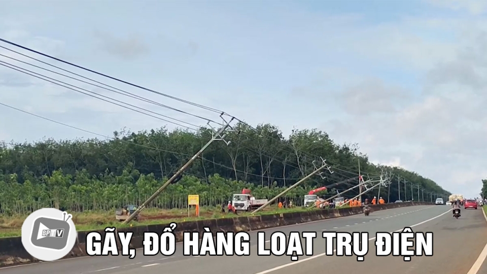 Bình Phước: Hàng loạt trụ điện trên đường ĐT.741 gãy, đổ sau mưa lớn, gió mạnh