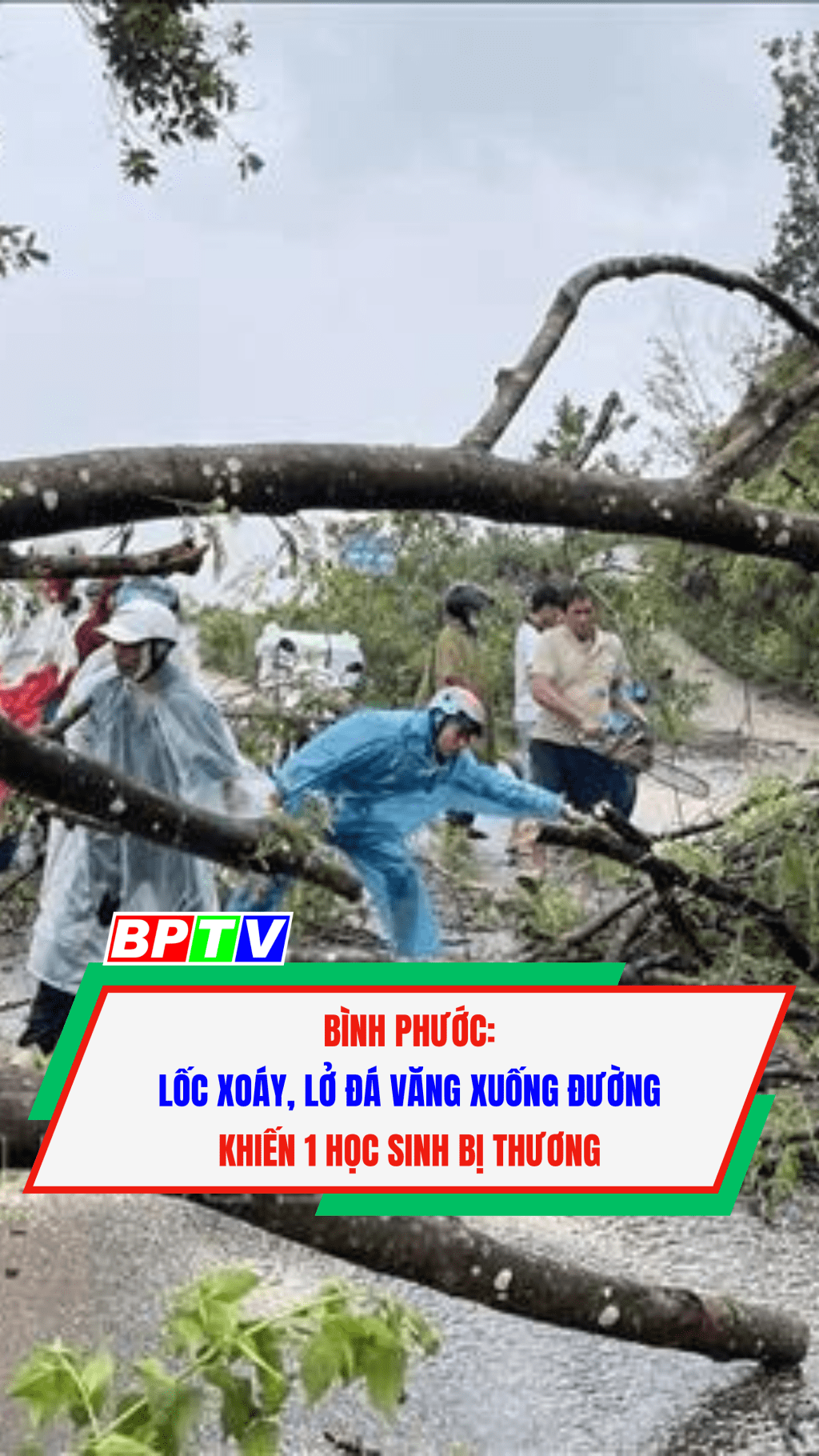 B&igrave;nh Phước: Lốc xo&aacute;y, lở đ&aacute; văng xuống đườngkhiến 1 học sinh bị thương #shorts