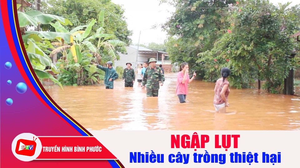 Bình Phước: Mưa lớn gây ngập lụt nhiều nơi |BPTV