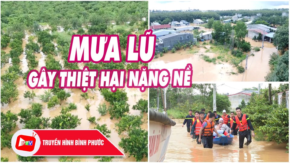 Bình Phước: Mưa lũ gây thiệt hại nặng nề ở nhiều địa phương |BPTV