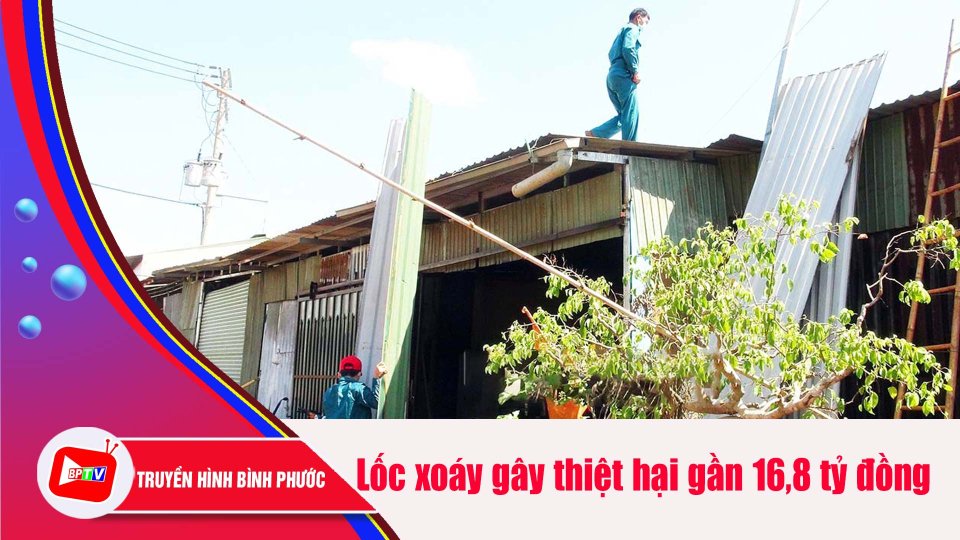 Bình Phước: Năm 2022, lốc xoáy, mưa lớn làm thiệt hại gần 16,8 tỷ đồng |BPTV