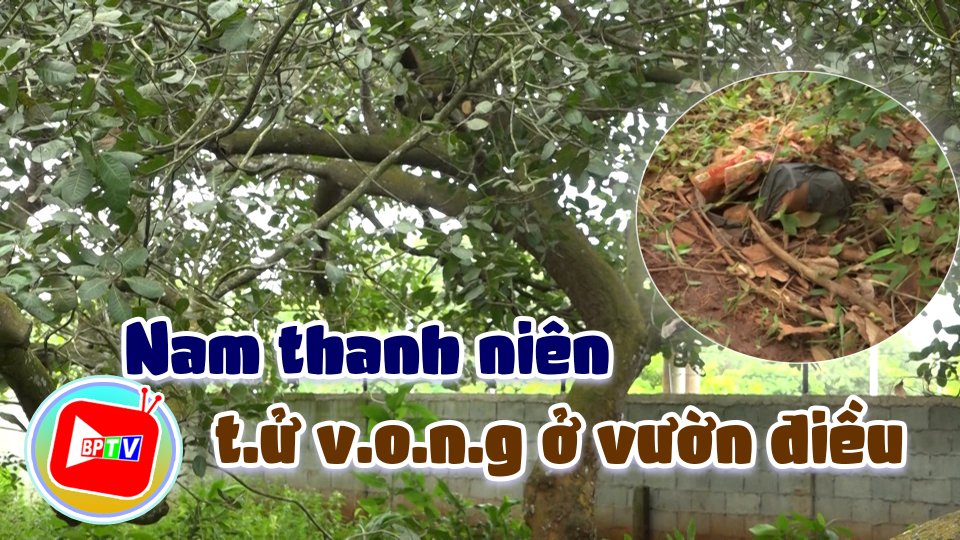 Bình Phước: Nam thanh niên t.ử v.o.n.g trong tư thế treo cổ ở vườn điều 