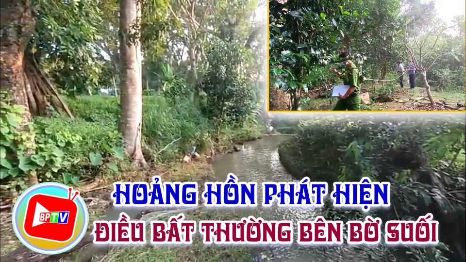 Bình Phước: Người làm vườn hốt hoảng trước cảnh tượng bên suối 