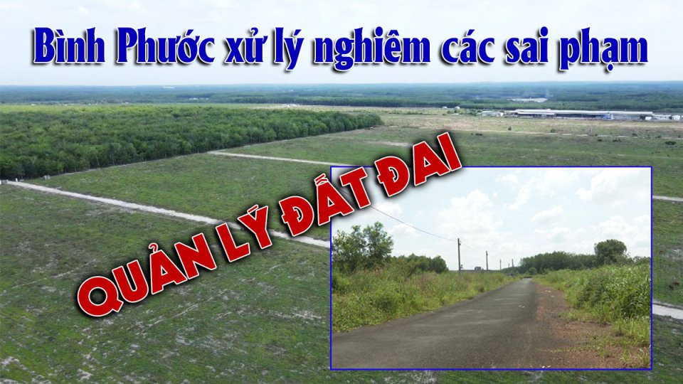 Bình Phước: Nhiều sai phạm trong quản lý và sử dụng đất tại huyện Đồng Phú và Chơn Thành | BPTV