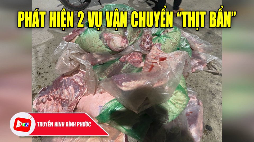 Bình Phước: Phát hiện 2 vụ vận chuyển “thịt bẩn” |BPTV